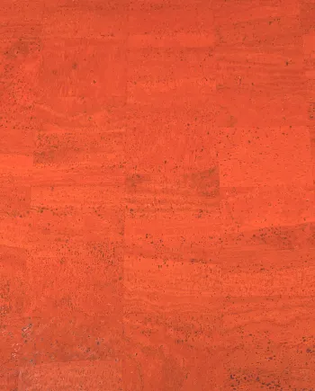 Cork Cord – Black - Image 3